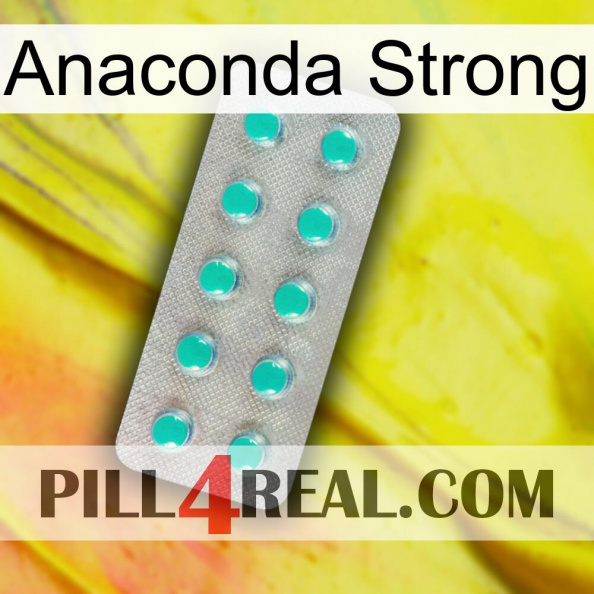 Anaconda Strong 28.jpg